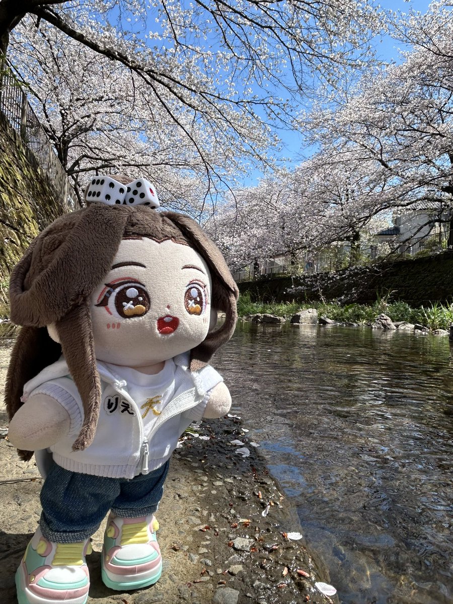 焼肉大好き44 tweet media