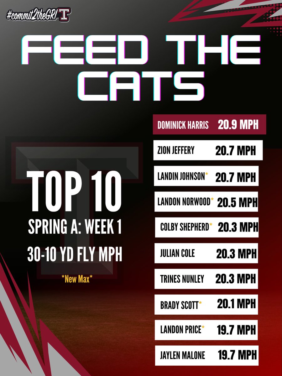 Feed the Cats⚡️ tweet media