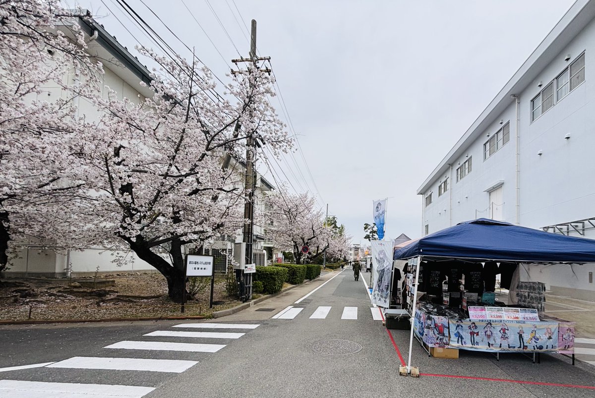 オウル・ジャパン🦉4/19(日)佐世保 四ヶ町よかばいmarche 出店❗ tweet media