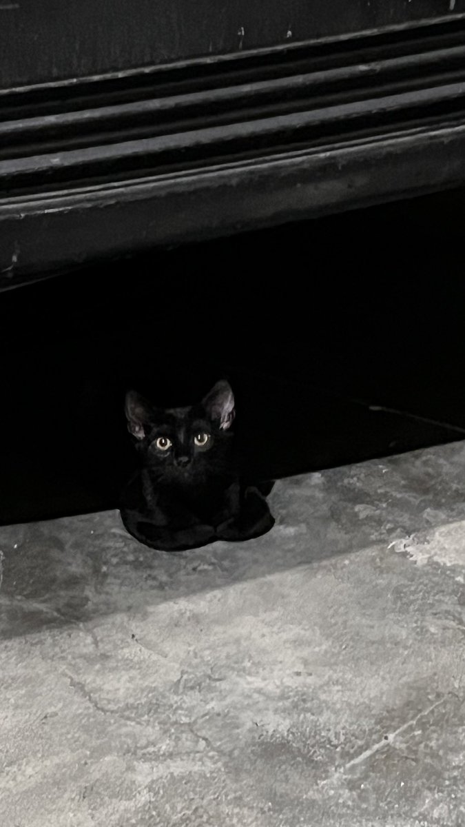 jaci ✨ tweet media