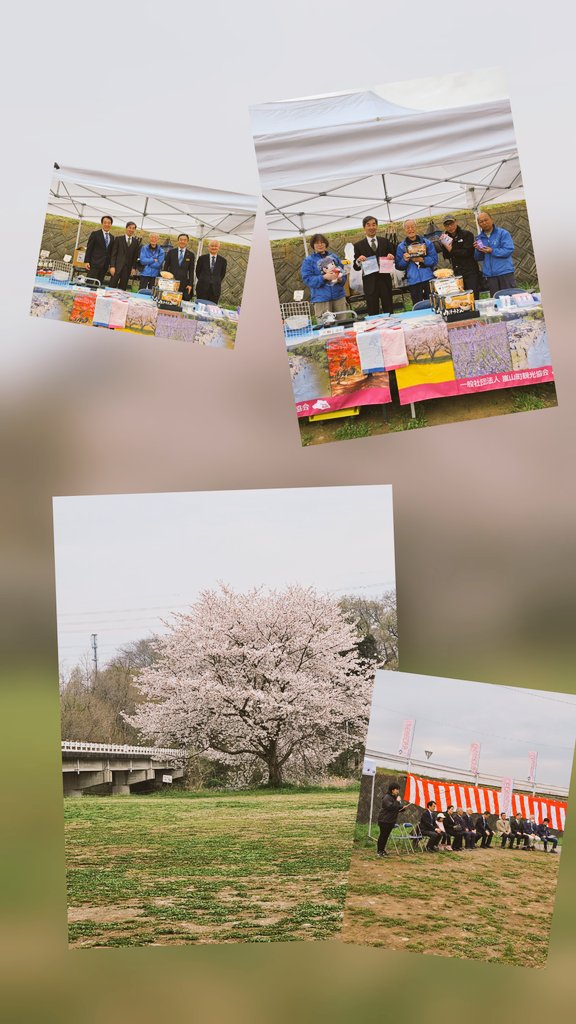 #嵐山さくらまつり
イベント日　開会式始まりました！
菜の花も桜も
まだまだお楽しみいただけますよ♡
#嵐山町観光協会 #嵐山町商工会 #さくら #桜
#イベント #まつり #花 #花が好き #埼玉県