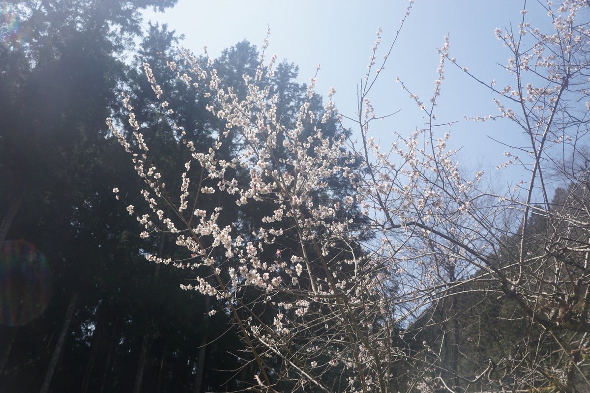 青木真兵／ルチャ・リブロ tweet media