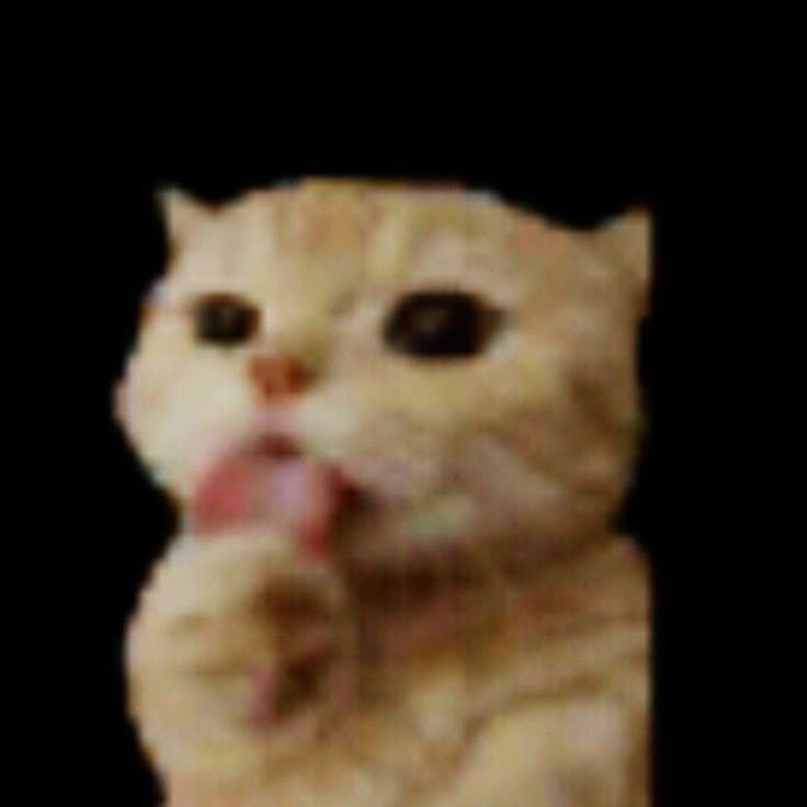 mörsegös tweet media