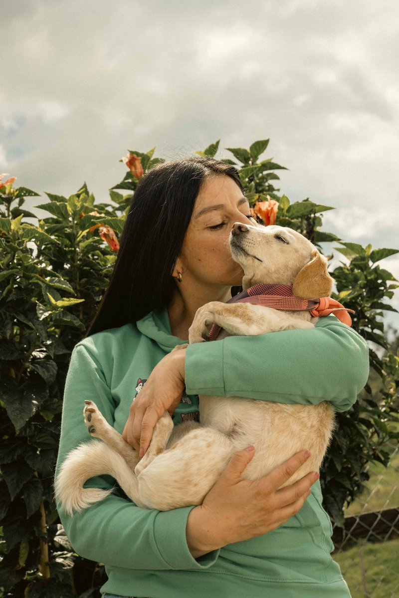 Asociacion de Protección Animal Mi Mejor Amigo tweet media