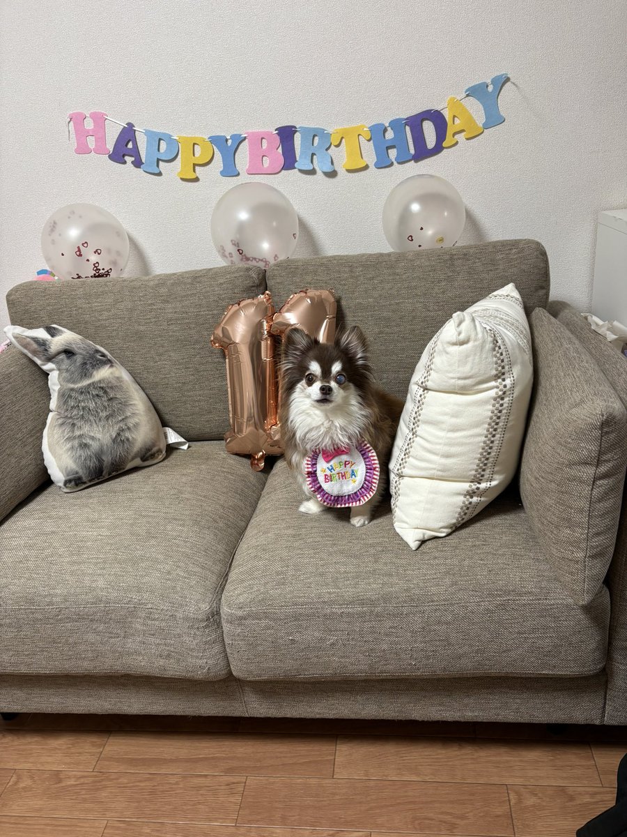 桜スゥ tweet media