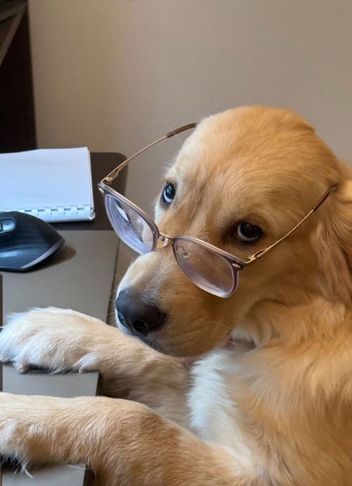 TOSIN MOORR tweet media