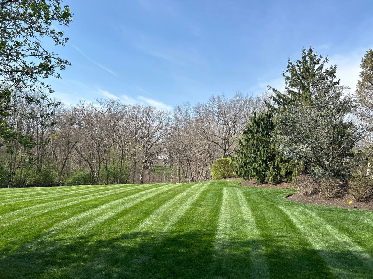 There’s something satisfying about clean lines and defined spaces.