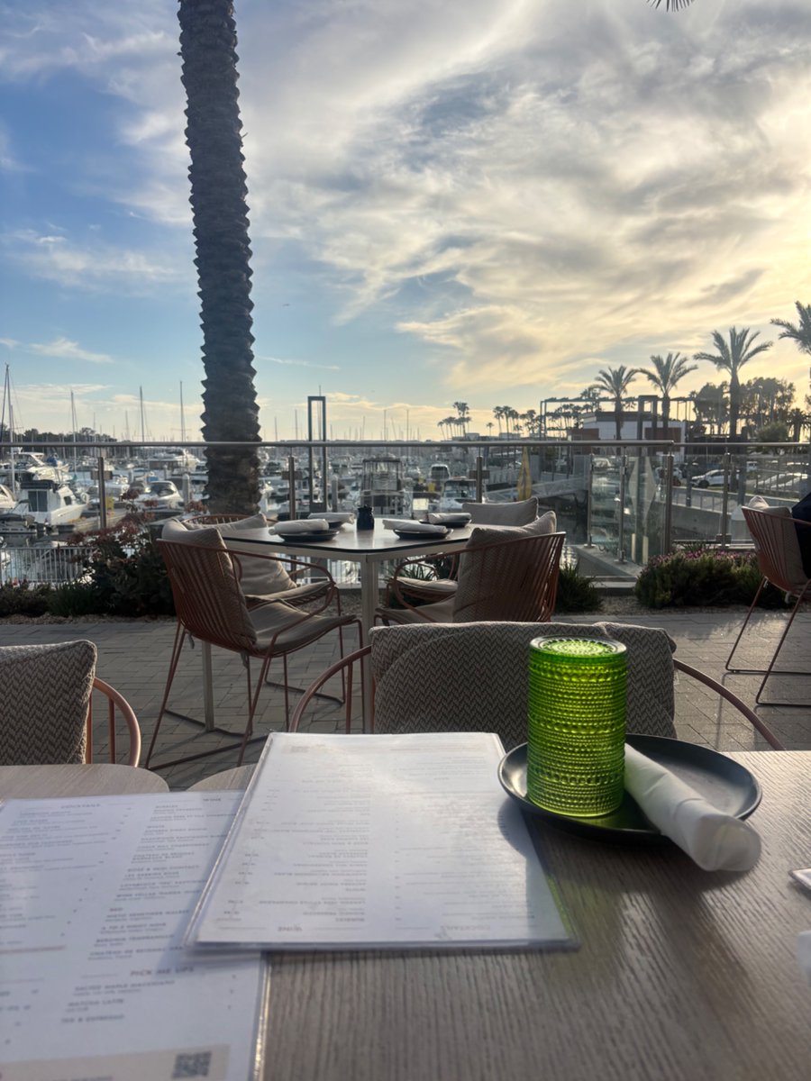 Danielle Radin tweet media