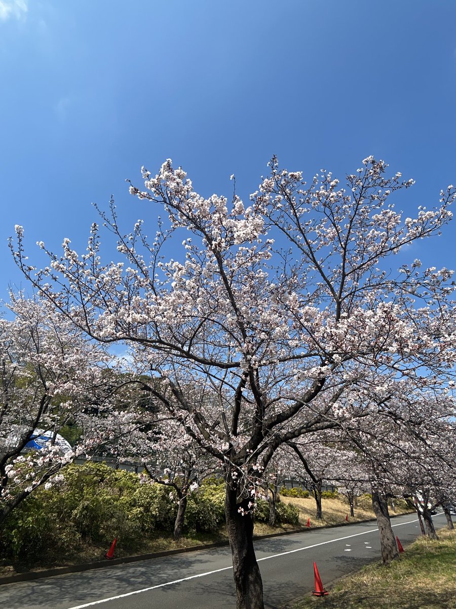 でにむ tweet media