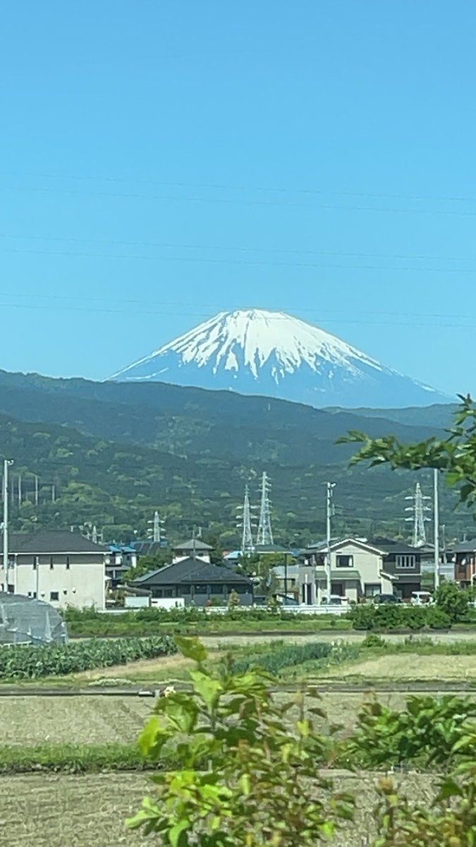 でにむ tweet media