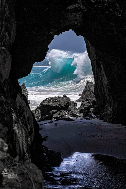 Sue Holloway tweet media