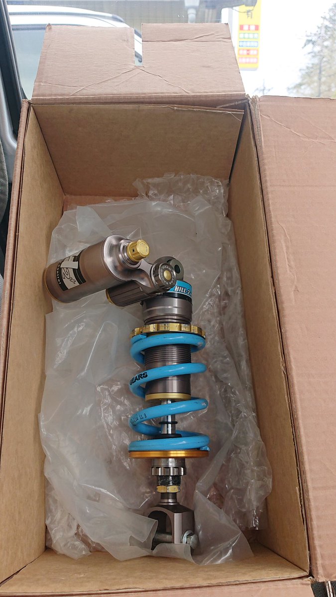 緑の妖精🧚‍♂️ tweet media