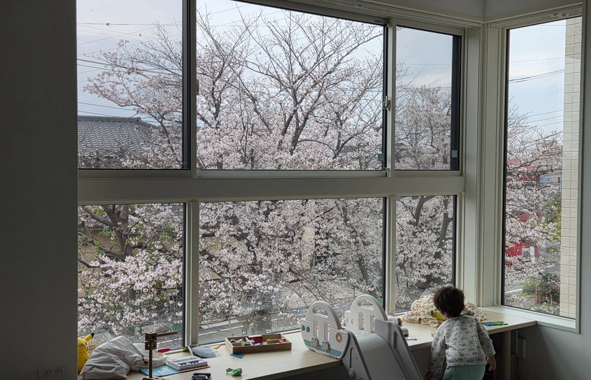 LaliGuras＝Akiyosi tweet media