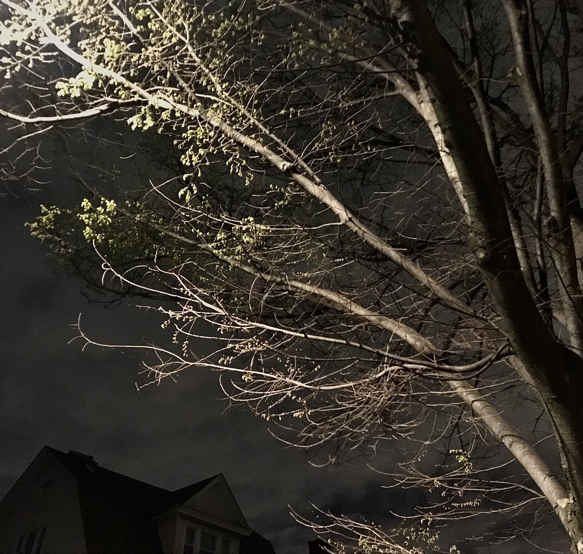 Hannah Taylor tweet media