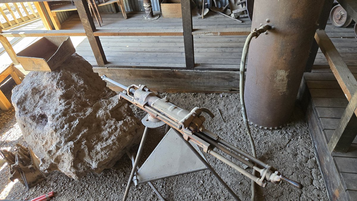 Daisy Daisy tweet media