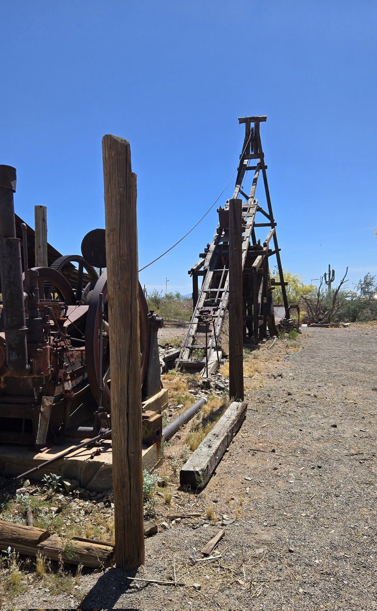 Daisy Daisy tweet media