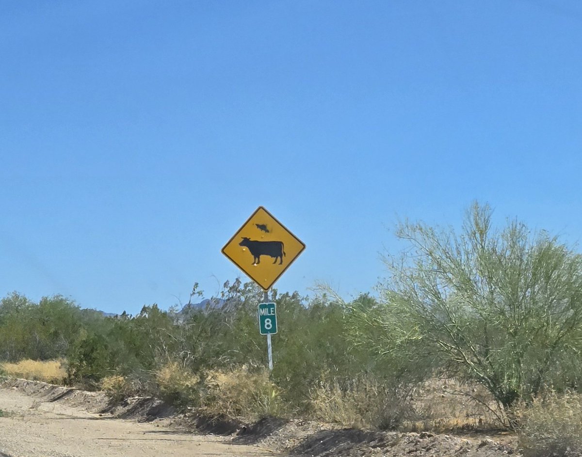 Daisy Daisy tweet media