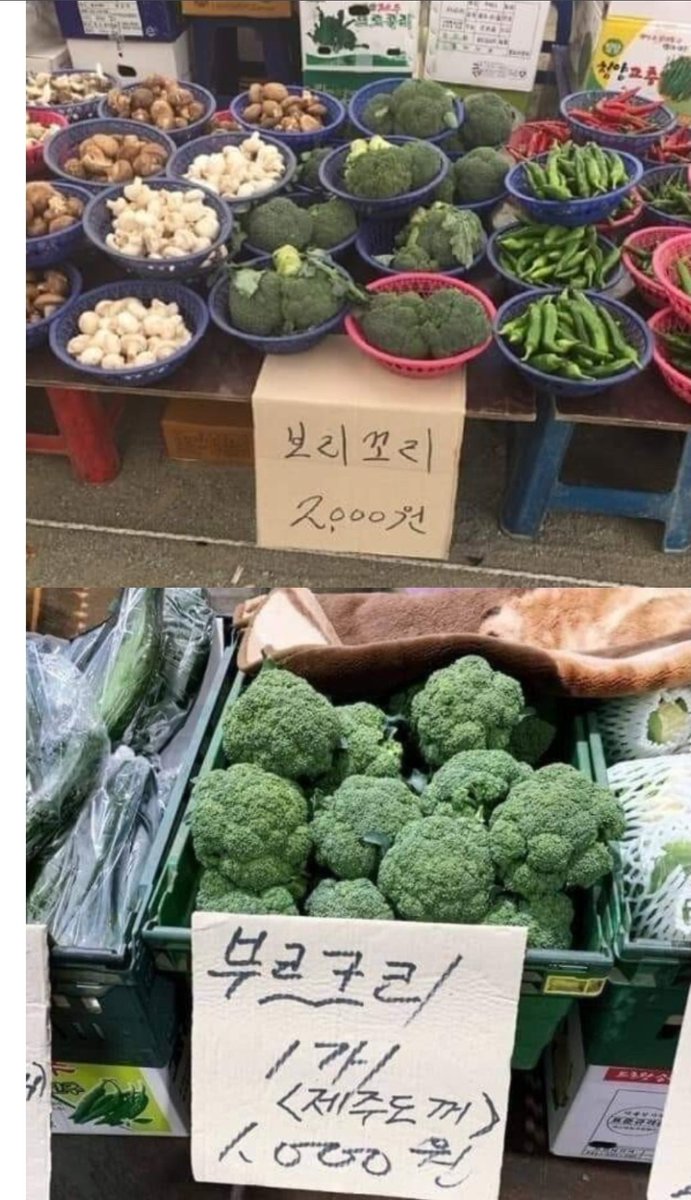구불출 tweet media