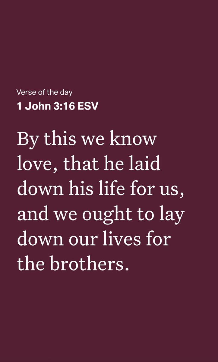 Dr My Le Trinh (suspended)🐭8:32 tweet media