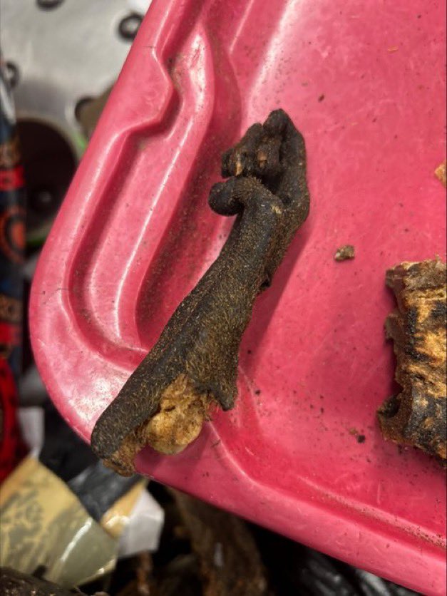 Dom Lucre | Breaker of Narratives tweet media