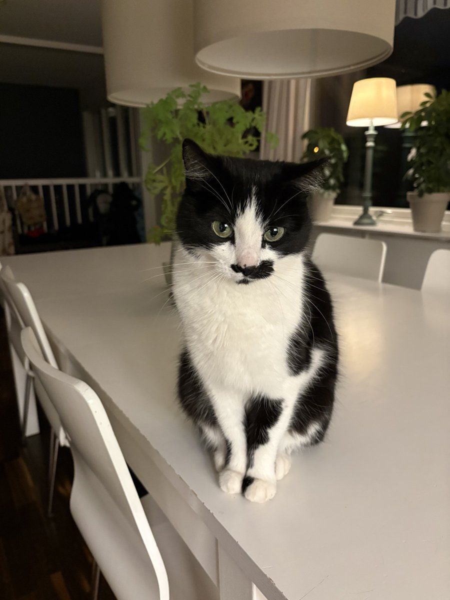 Arvid Strand tweet media