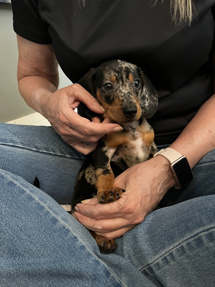 pudo fiapor d manga amassado c crise exis tweet media