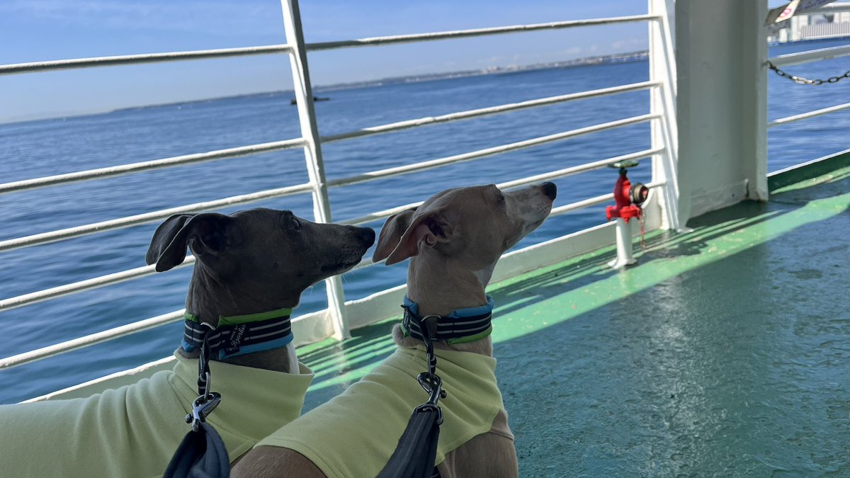 FT kaetan tweet media