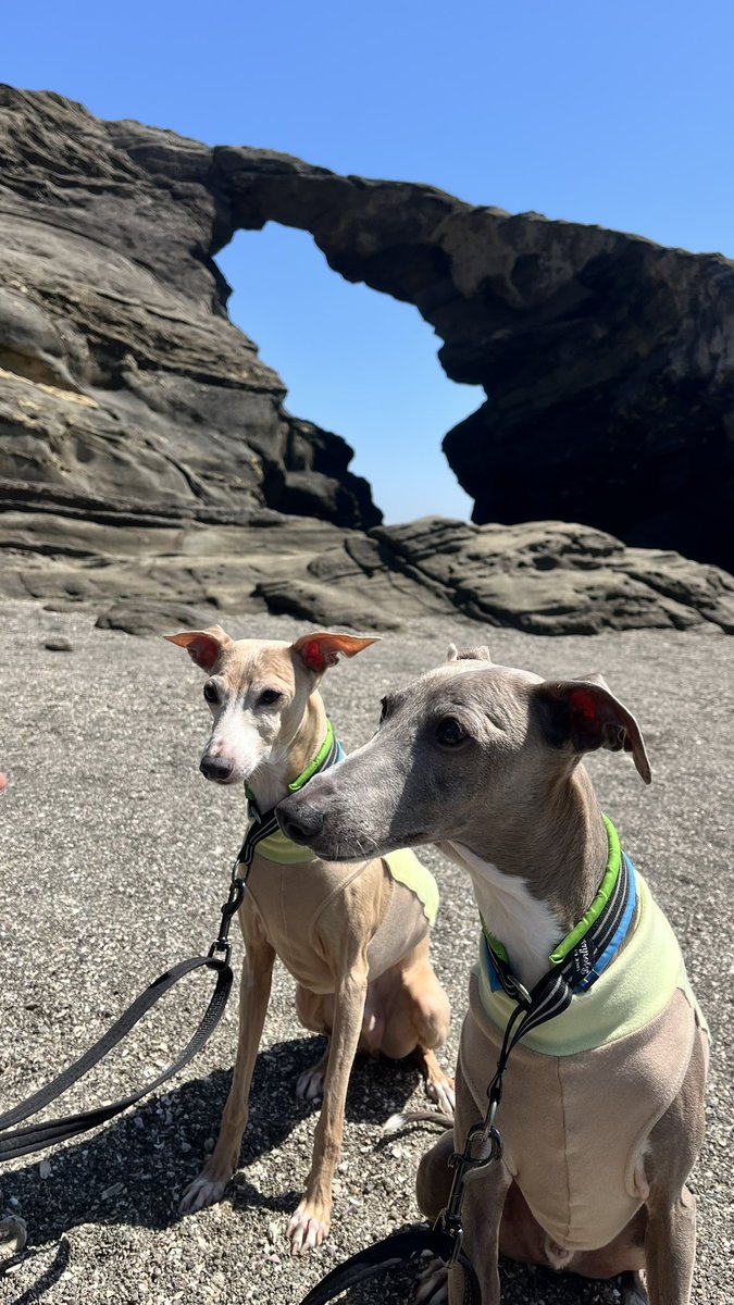 FT kaetan tweet media