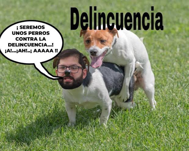 findthetrue tweet media