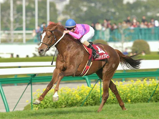 Timely Narita Top Road⚽️ tweet media