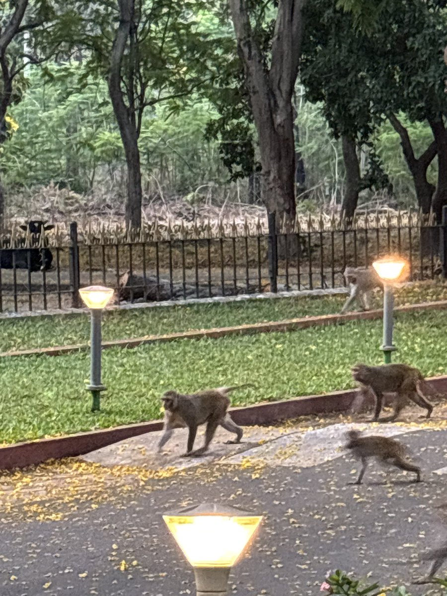 Mohan Pargaien IFS🇮🇳 tweet media