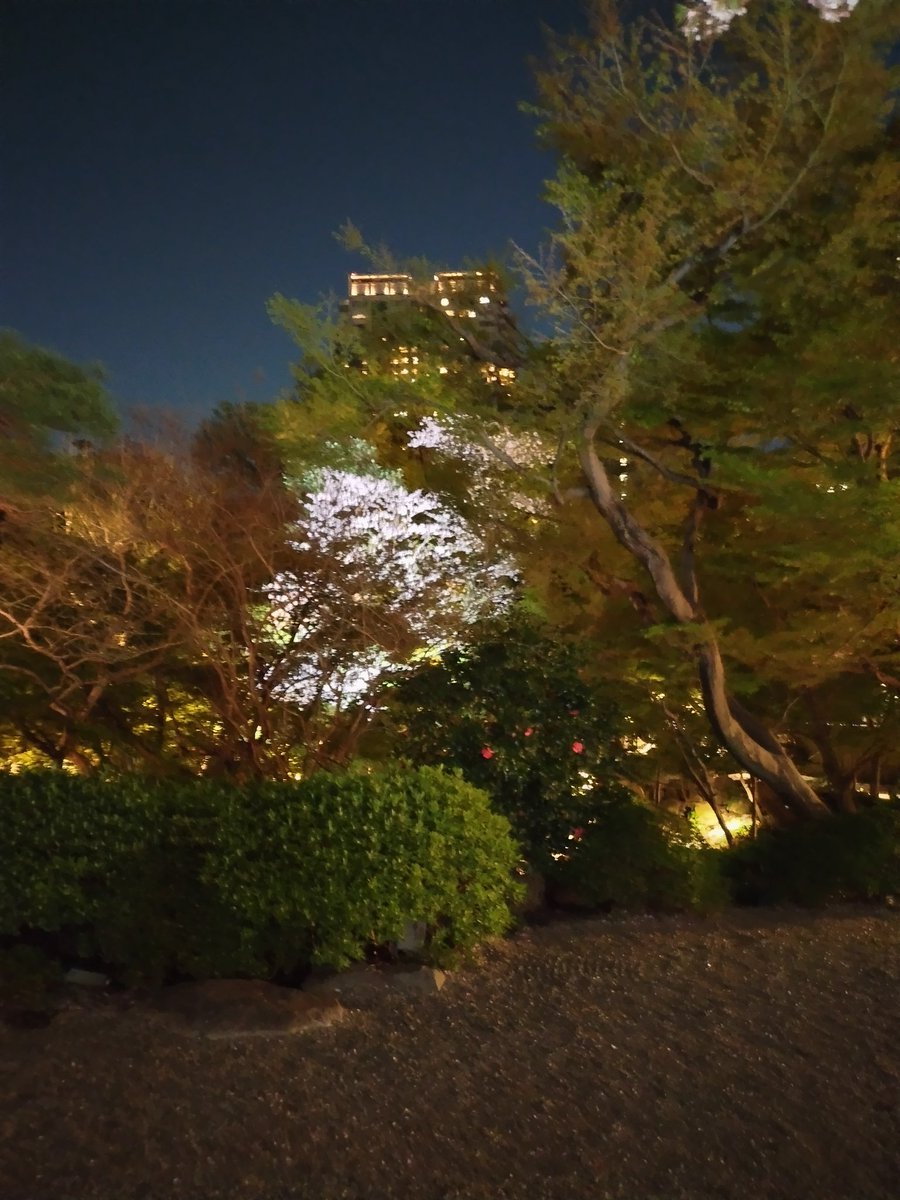 tsanada1600's tweet photo. 八芳園での観桜会。
今年は4月2日。サクラは満開。
皆様の笑顔も大満開でした。
拙著もお披露目。いよいよ発売です。 https://t.co/aPERd4Fuc7