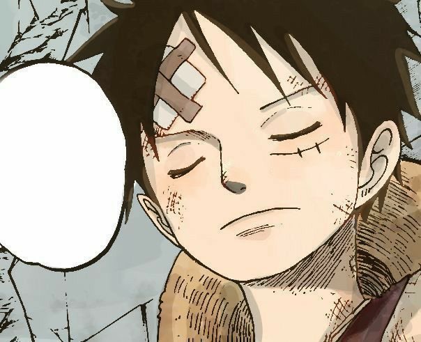 🇧🇷 tweet media