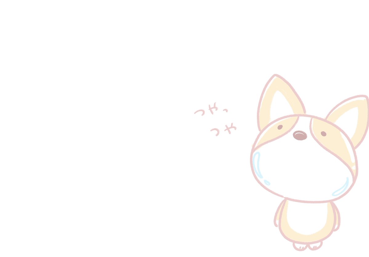 こーた(幸多) tweet media