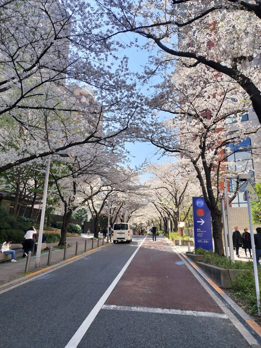 坂組46 tweet media