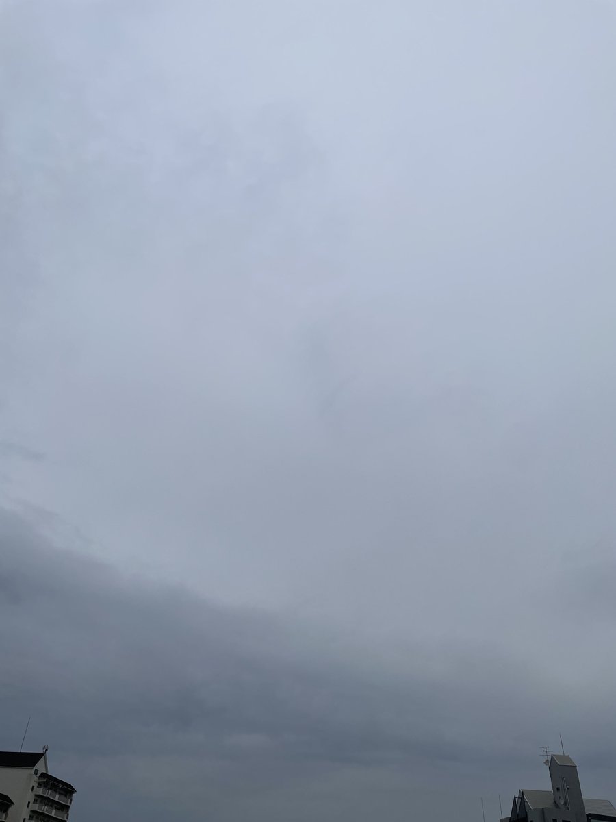 堕威那魔糸關西ニキ(アクノソシキ7軍)知らんけど tweet media