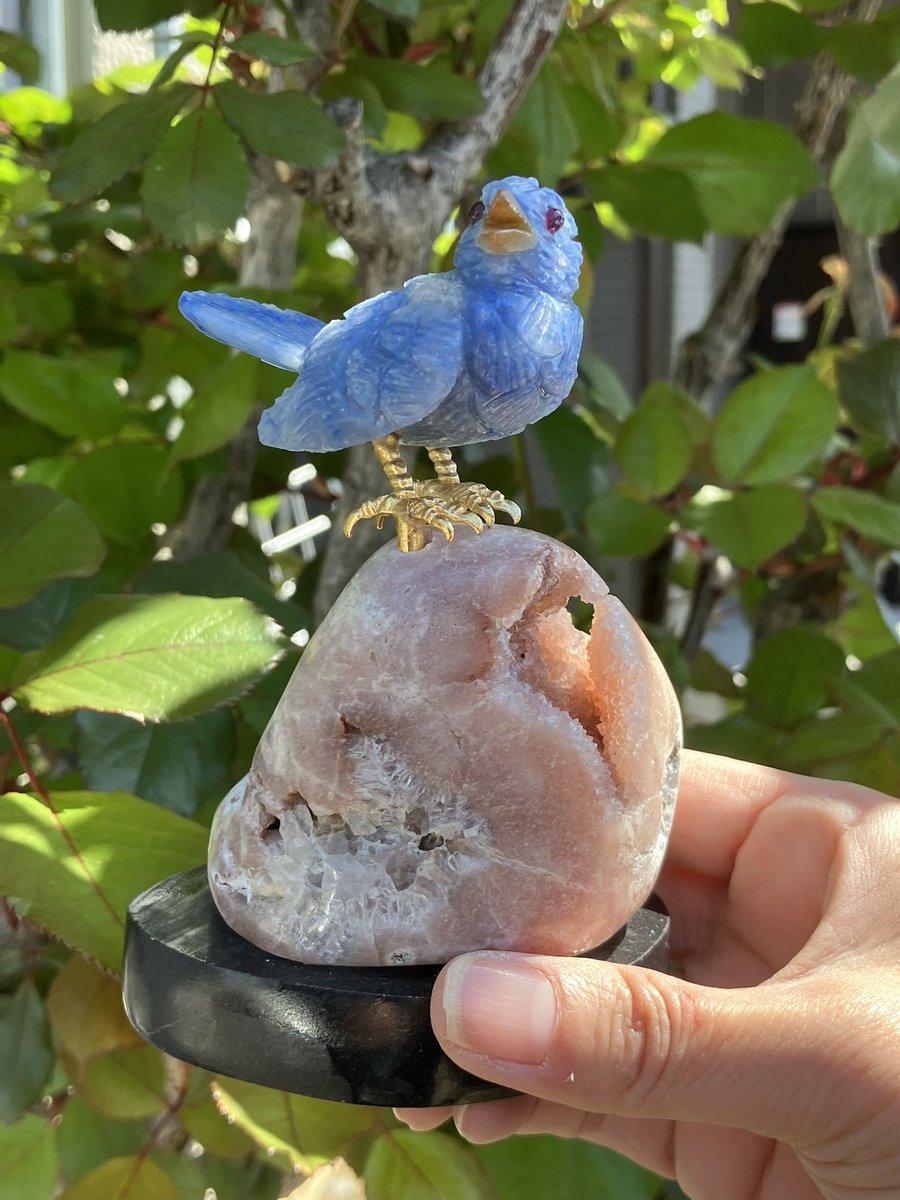 WILL_Trading_Jp's tweet photo. 甲府ジェムマーケットまで
１週間！
昨日は練習かねて鳥さんを
外に連れて行来ました。
いつもの仲間水晶さんと一緒に
お待ちしております。
@kofugemmarket_ https://t.co/H1WxABQMCE