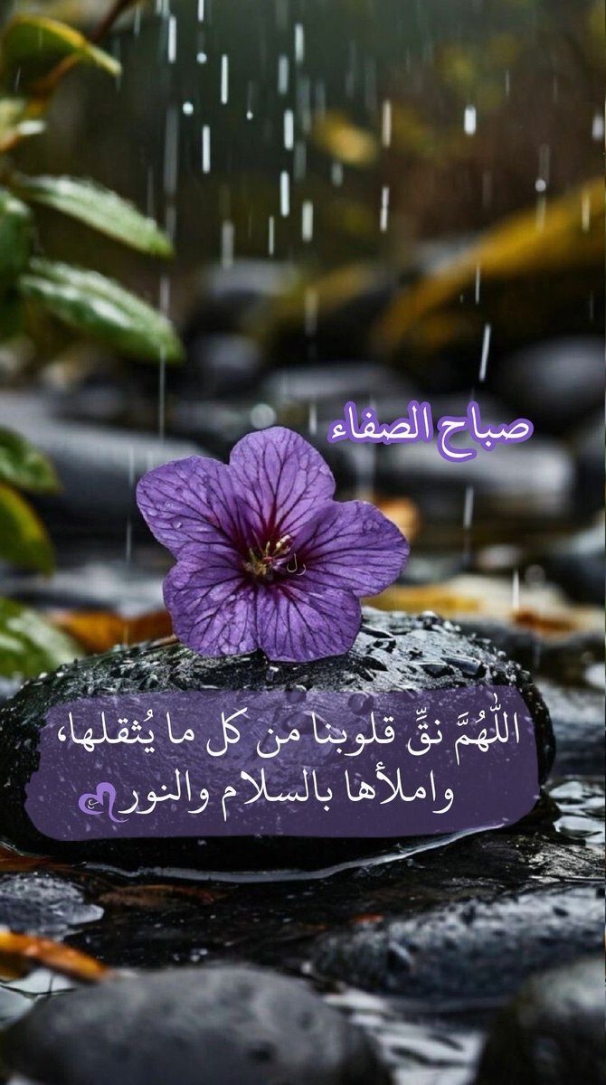 مُـــنى 💎 tweet media