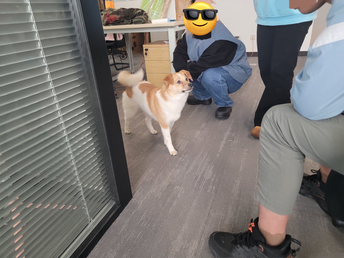 砂糖橘🍊🦊 tweet media