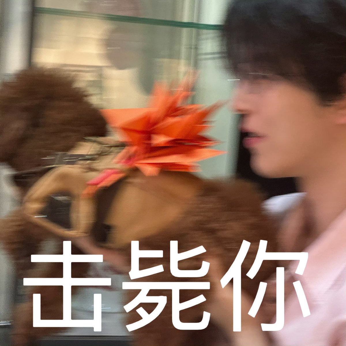 QIUDINGJIE HOME TH ♡ tweet media