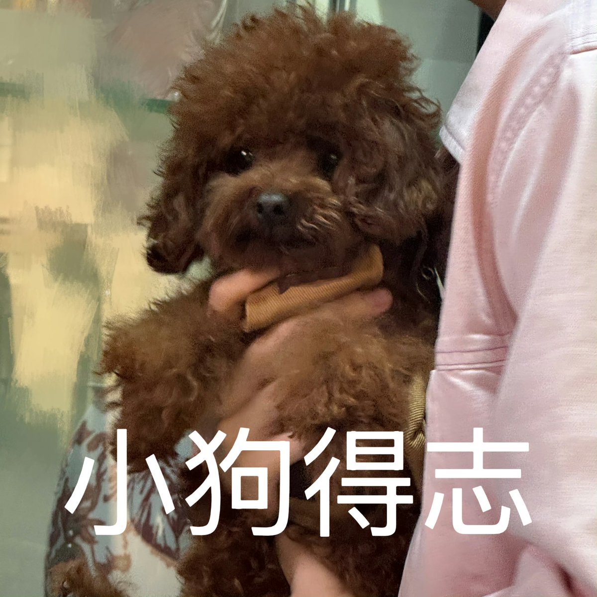 QIUDINGJIE HOME TH ♡ tweet media