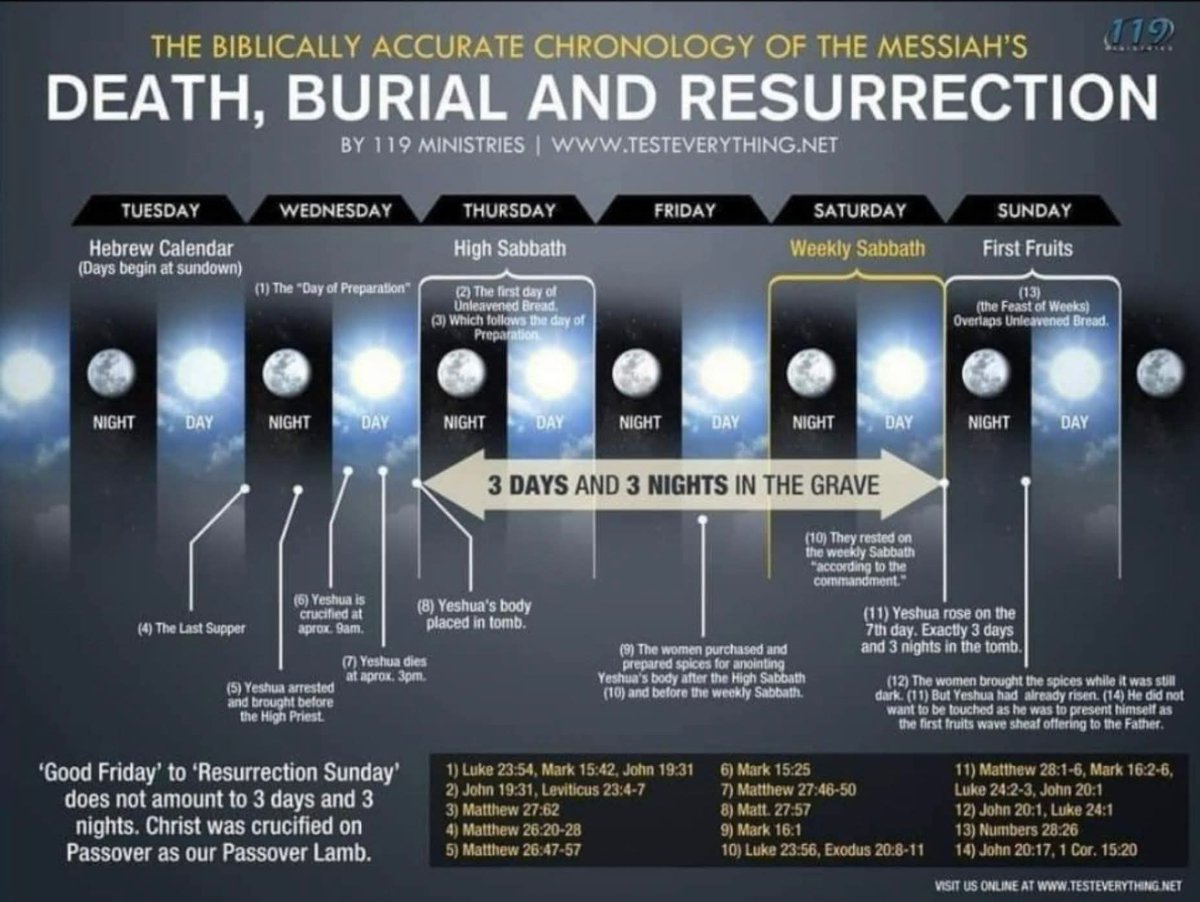 Emanuel Palmeri tweet media