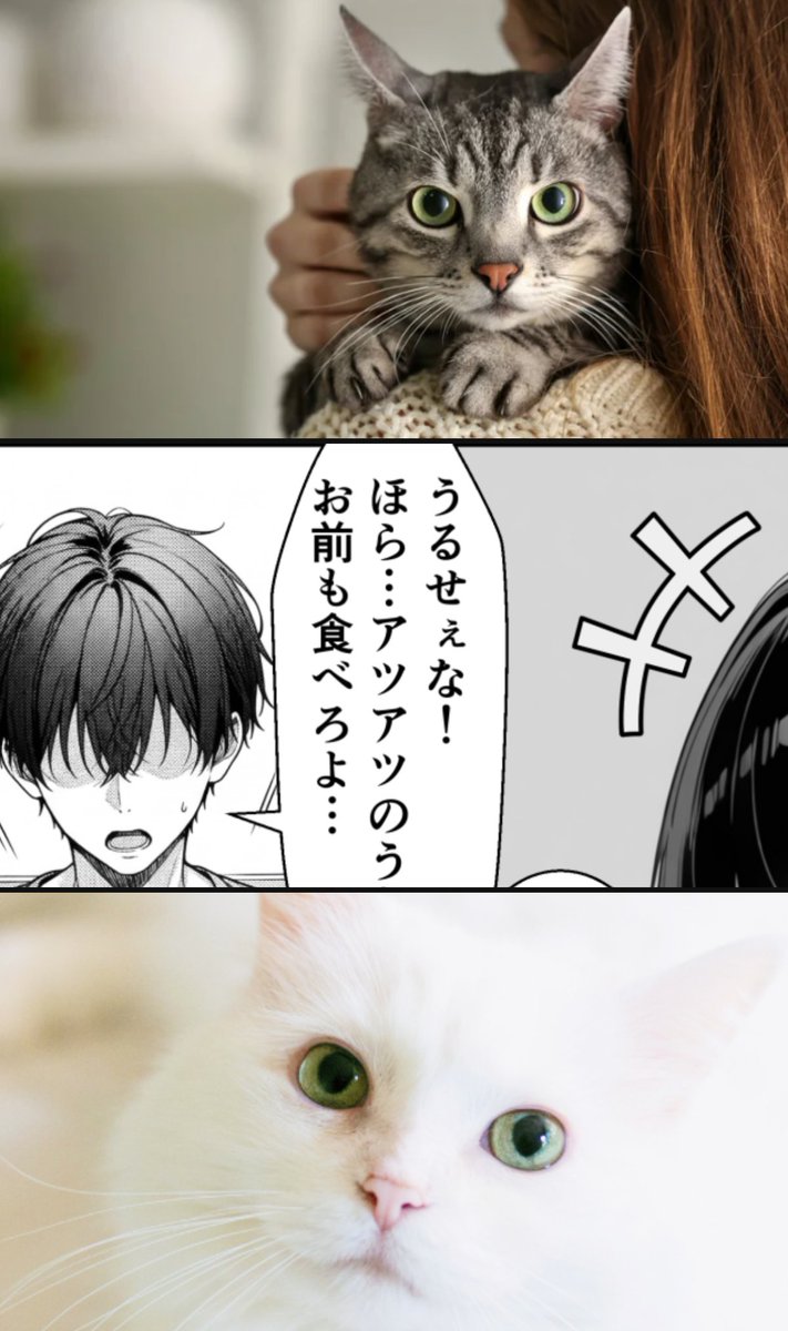 深夜のごほうび選手権 tweet media