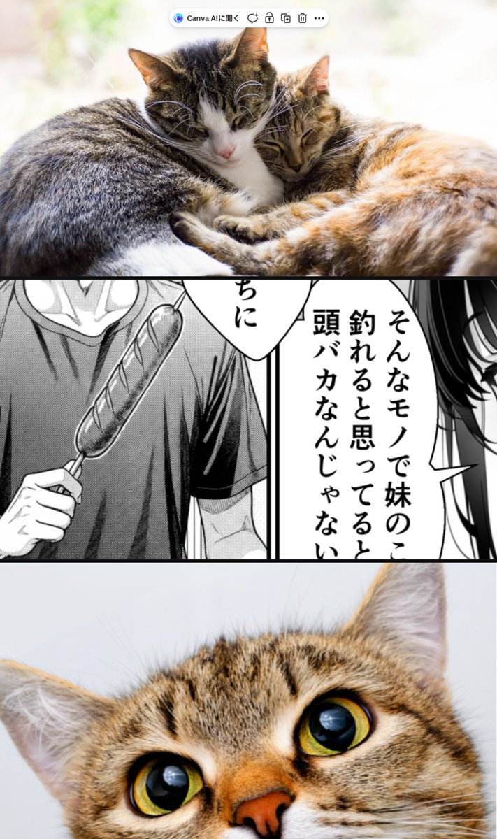 深夜のごほうび選手権 tweet media