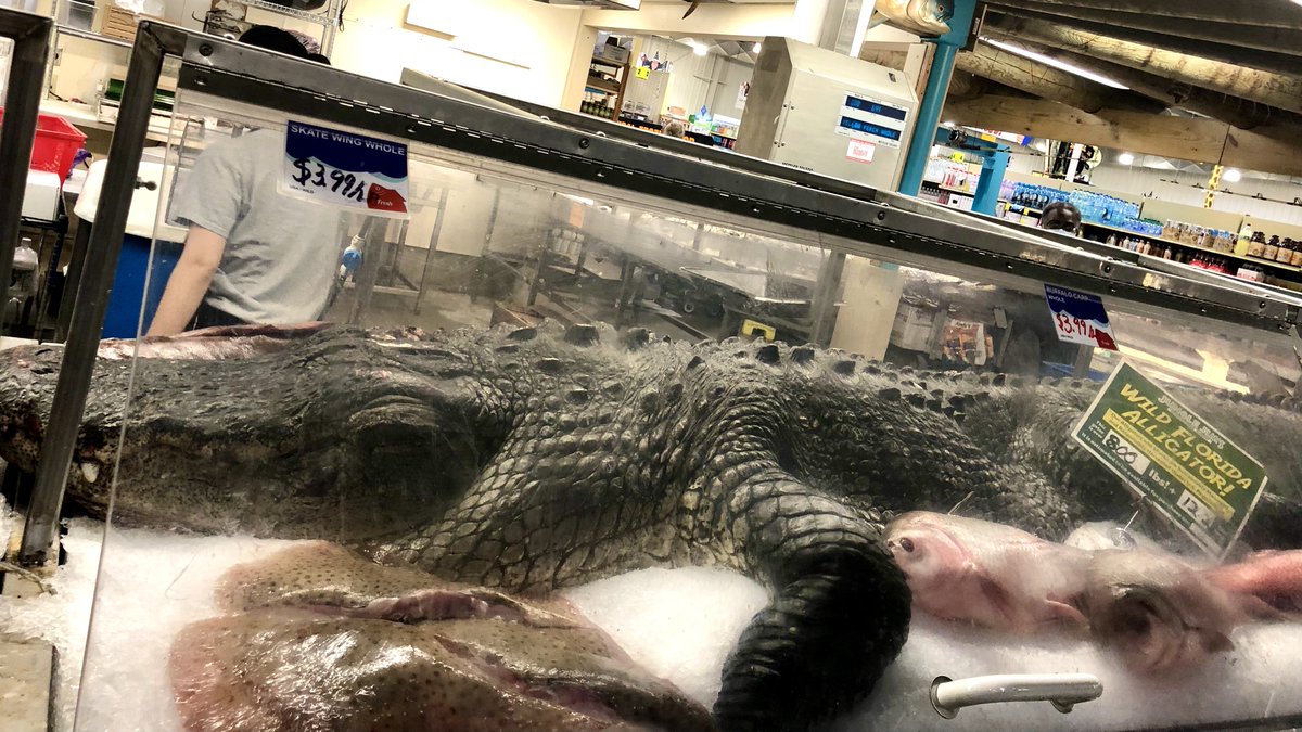 山口慶明 tweet media