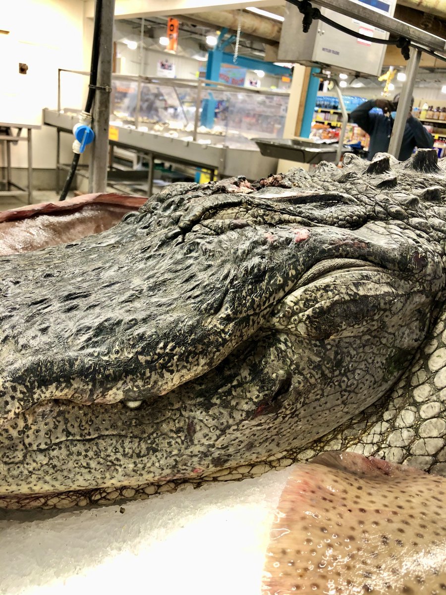 山口慶明 tweet media