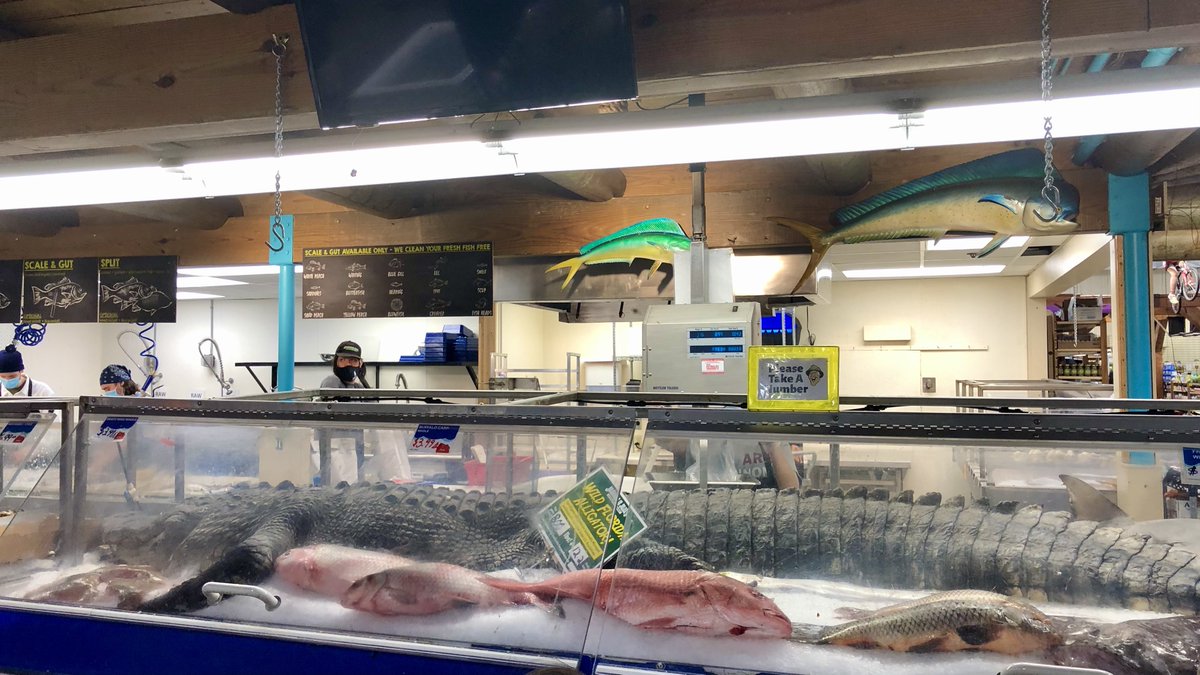 山口慶明 tweet media