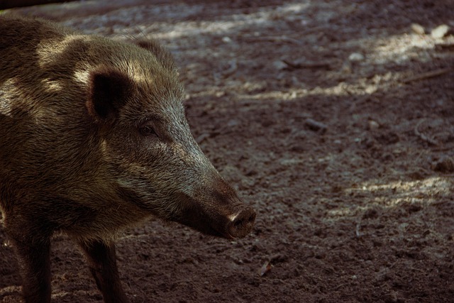 Adrienne Rouse tweet media