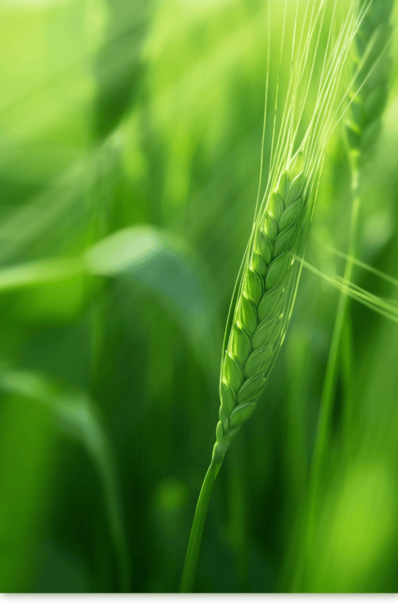 Magdiolys Leal tweet media