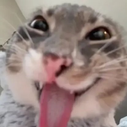 IndoGen2🎨🔞 tweet media